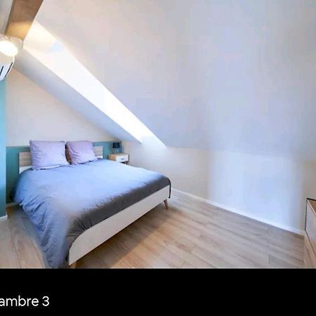 Apartmán Loft Neuf Avec Bain Jacuzzi Et Terrasse Colmar Exteriér fotografie