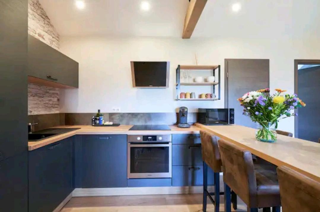 Apartmán Loft Neuf Avec Bain Jacuzzi Et Terrasse Colmar Exteriér fotografie